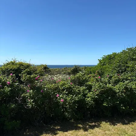 Villa Sea View In Close To The North Sea *